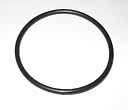 O-ring 2" pumpunion spabad