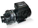 Pump Ultimax, 1,5HP 2 hast North Star Pure