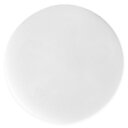 Fettabsorbator SpaDisc