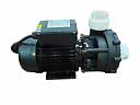 Pump LX LP300 3hp 1 hast