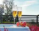 Glas Stripe Champagne 18cl okrossbara
