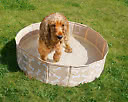 Hundpool, beige med hundben 80 cm vikbar