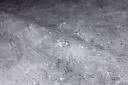 Liner platssvetsning Renolit 1,65 mm x 1,65 x 25 m Chandra