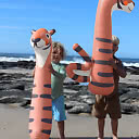 Uppblåsbar Noodle Tino the Tiger 2-pack