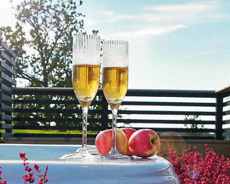 Glas Stripe Champagne 18cl okrossbara