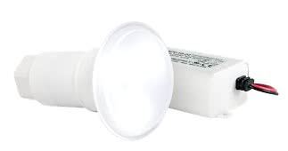 Poollampa spotlight FlexiMini kallvit 900lm