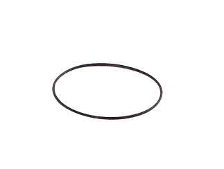 Belysningsarmatur O-ring till armatur D1