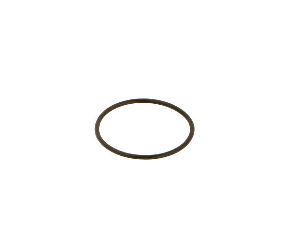 O-ring ventil whirlpool jet (till 766200) Nordic