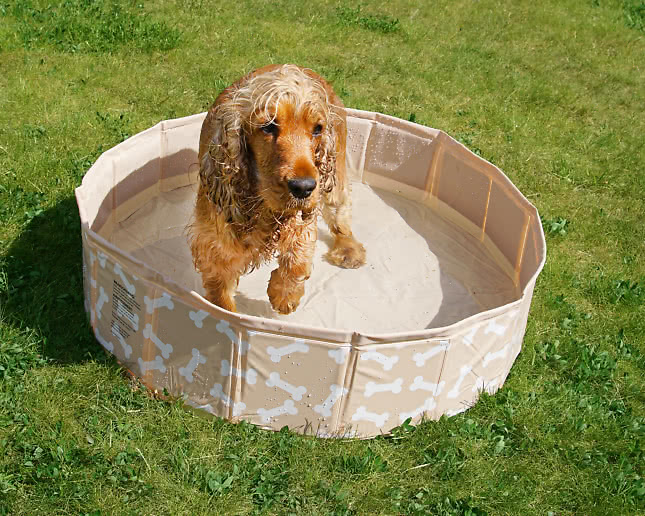 Hundpool, beige med hundben 80 cm vikbar