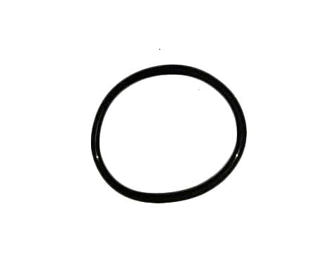 O-Ring batterilock Wanda
