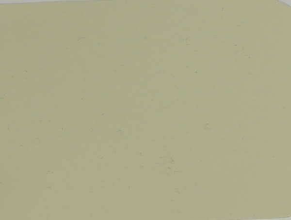 4600186.jpg